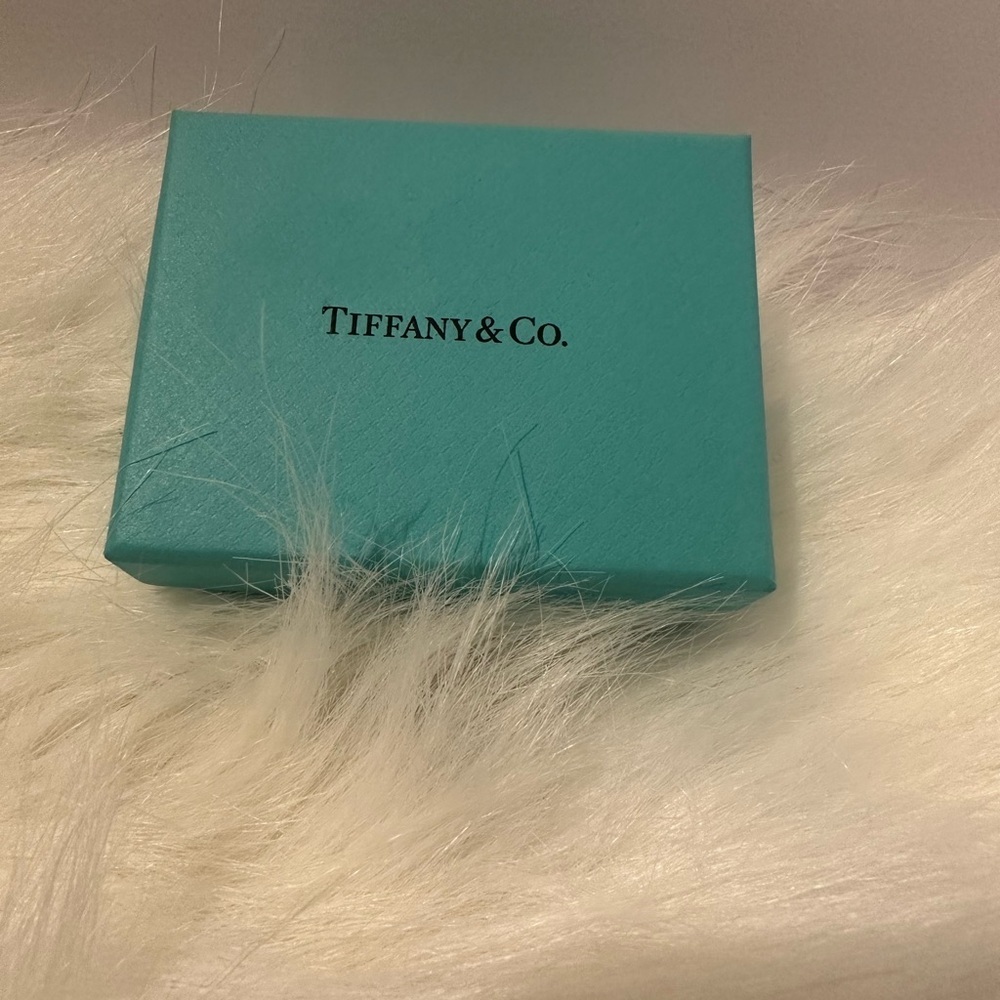 Breakfast fast at Tiffany.Tiffany & Co. Turquoise Blue Box. Empty Tiffany Box.